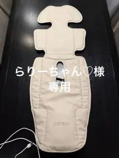 Item thumbnail for item f2c14e5e-0163-4a5e-90bd-6e1b45828339