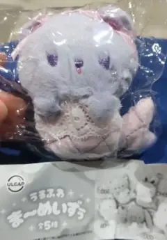 シープラ限定　うるふわま〜めいずぅ ぴんく　新品未開封