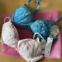 ブラジャー　D70