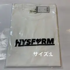 HYSFORM BALLISTIKBOYZ Tシャツ Mサイズ VERTICAL_GARAGE on X: 