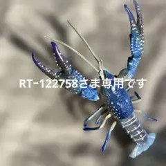 海洋堂 ミニチュア アメリカザリガニ モデル青色変異個体