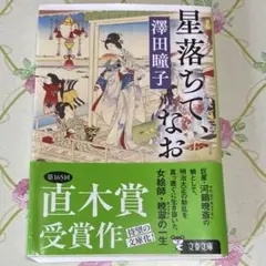 星落ちて、なお