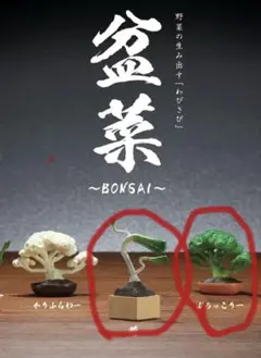 Item thumbnail for item 5447ab0e-6831-4718-a81a-2a33a373cbe8