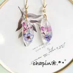 Item thumbnail for item 08f39078-d4d7-4775-b6da-db0c3fe8c38c