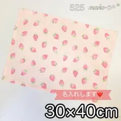 Item thumbnail for item 8c98d0b1-0d70-4735-9ce4-892a79766864