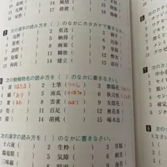 確認用