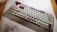 【メカニカルキーボード】ilovbee B87 試打のみ美品 + FR4プレート