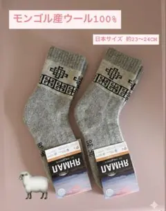 Item thumbnail for item 247772f8-9acb-4cef-80fb-af8dbf44d9e2