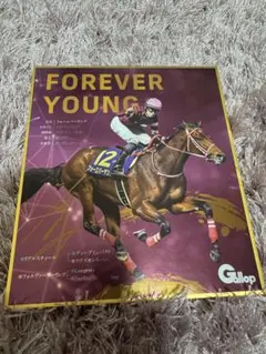 競馬　ミニ色紙　サイン　ゴールドシップ　イクイノックス　フォーエバーヤング miniSikisi_godlship_BOX.jpg?v=