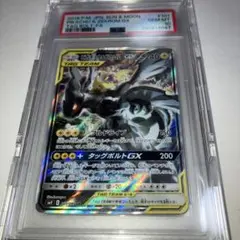 【PSA10】ピカチュウ&ゼクロムGX SR SA ピカゼク