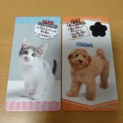 きまぐれねこにゃん おしゃべりわんこ 2枚セット