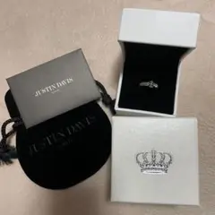 【本日12時まで限定価格】Justin Davis amulet リング