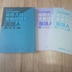 未使用 臨海セミナー 自校作成校 高校入試実践問題集 国語A 2025年版