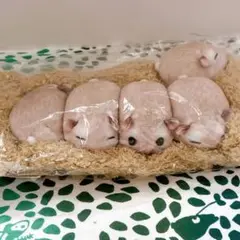 ハムスター ボックスティッシュカバー