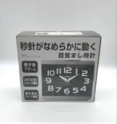 グッドモーニング2号 銀メタリックT-679 SM-Z