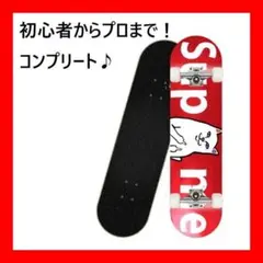 スケートボード 31インチ スケボー ABEC9ベアリング採用 くま