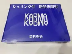 StrayKids KARMA ceremony 通常盤 新品未開封