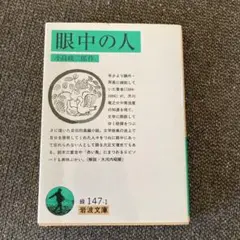 眼中の人