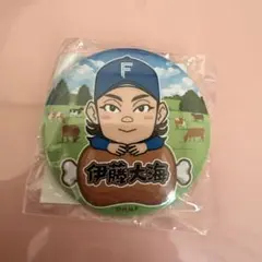 北海道日本ハムファイターズ 伊藤大海 缶バッジ ガチャ 北海道肉祭り