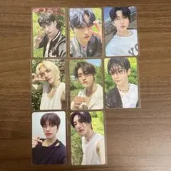 Stray Kids MAXIDENT 封入トレカ 【8枚セット】➁