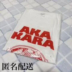 赤からTシャツ【L】※非売品