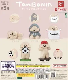 tombonia フィギュアコレクション 全5種 ガチャ トムボニア