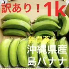 1109y①訳あり❗️無農薬栽培✨沖縄県産元祖島バナナ✨1キロ分✅