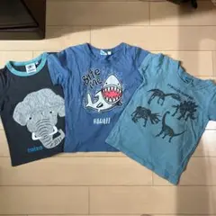 taizo FOKIDS などTシャツ 100サイズ３着