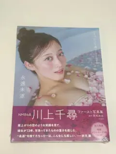 Item thumbnail for item 3a0a9d3b-8da9-4cbc-807b-2313e993900f