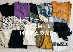 Item thumbnail for item 6d98efe4-6798-4648-9c7a-3d01266bbf99