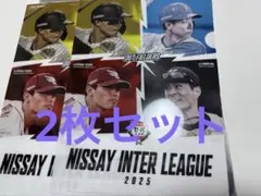 阪神タイガース　交流戦　甲子園球場限定　クリアファイル2枚　フード　森下翔太