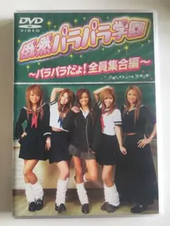 【美品】俄然パラパラ学園〜パラパラだょ！全員集合編〜 DVD パラパラ ギャル