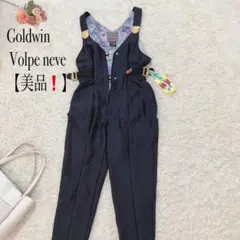 美品❗️ゴールドウィン volpe neve スキーウェア下 フリー ブラック系