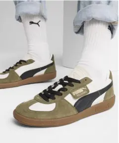 Item thumbnail for item 713a02a2-7db7-4620-8ae2-fc8367daf529