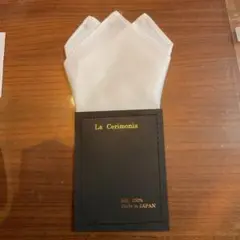 Item thumbnail for item dbc3c996-27f3-4edd-97d7-973db74161b9