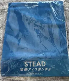 アイスポンチョ　STEAD 通販の虎