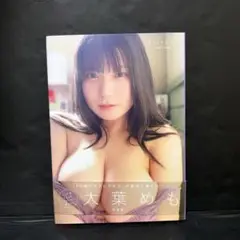 ラストメモリー 大葉めも写真集
