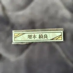 Item thumbnail for item 09ef4940-afcc-4e98-80ab-49362fc95439