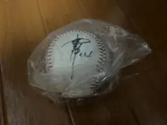 巨人　ジャイアンツ　高橋由伸　レプリカサインボール