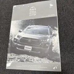 ラブフォーパンフレット