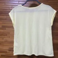 前面レースの黄色いカットソー