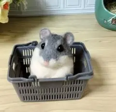 Item thumbnail for item ffa4fcf5-5979-4705-88d9-1a76b19e6b48