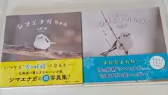 シマエナガちゃん　写真集　2冊セット もっとシマエナガちゃん