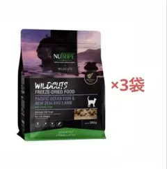 Item thumbnail for item 13a6a5c9-8d99-4232-903e-3b82d2d1fd5a