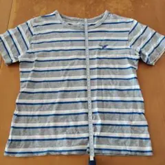 ストライプ Tシャツ 150サイズ コットン100%