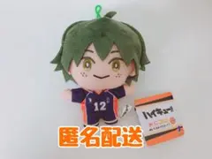 ハイキュー みにコレ マスコット ぬいぐるみ 山口