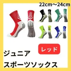 Item thumbnail for item 468f0712-537f-422b-beda-e3d7aa34abf4