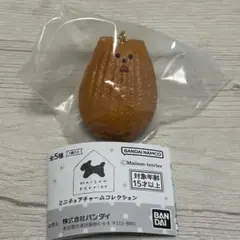 maisonterrier メゾンテリア　ミニチュアチャーム　マドレーヌ