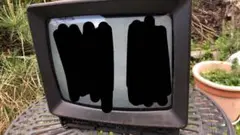 Item thumbnail for item b3323b01-1b47-4d14-826b-442b0d53ce77