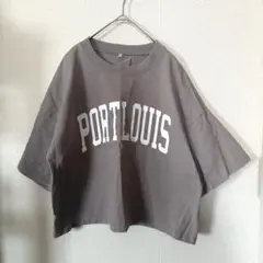 レディース　ロゴTシャツ　ブラウン系　L ショート丈　カジュアル